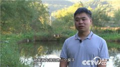 长白山青年朱玉广：为爱回乡 深山寻宝