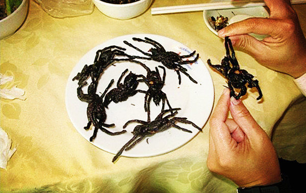 柬埔寨美食油炸毒蜘蛛