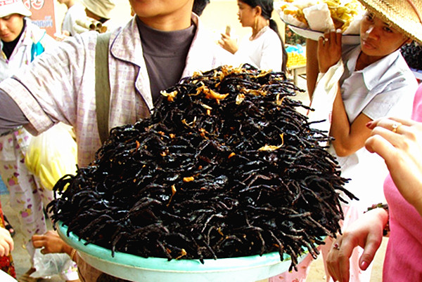 柬埔寨美食油炸毒蜘蛛