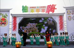 四川罗江第四届香柚乡村旅游节启幕 开辟电商销售新渠道