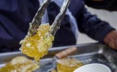 北京密云区农民霜时节割蜜 一公斤400元供不应求