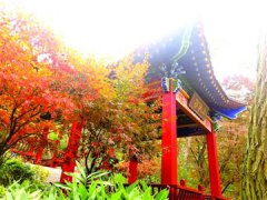 近郊游成青岛旅游发展新动力 新兴景区景点涌现