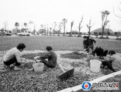 江西安福县抓高产油茶 助力贫困农民脱贫致富