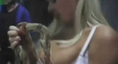 美女逗蛇被咬蛇死亡，鉴定蛇因假胸硅胶中毒而亡