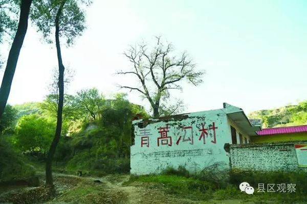 山西临县留守村：平均年龄五六十 没病是心愿