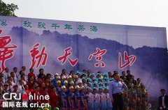 四川宜宾：情满魅力蕨溪 放歌千年茶海