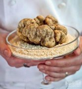 世界最贵食物曝光 吃一口怕是要心痛半年了