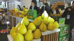 四川：“遂宁鲜”产品走俏农博会 借互联网+走出国门
