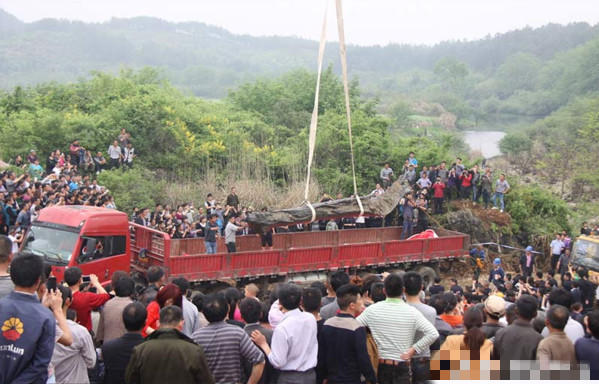江西现“千年神木” 当地政府日夜守护