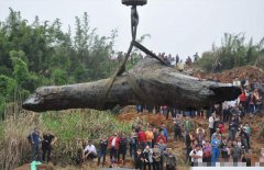 江西船滩镇现“千年神木” 当地政府日夜守护