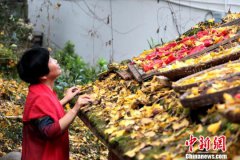 海内外民宿专家汇聚浙江临安 共商乡村旅游可持续发展