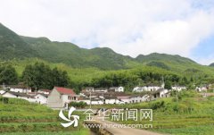 浙江珊瑚：最严家规守护绿水青山
