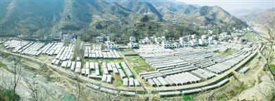 标准化种植基地