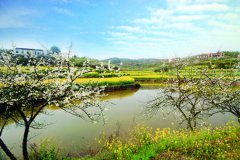 湖南萱洲：生态与经济共赢