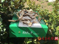 稻城亚丁:冬季旅游好地方 赠特产送健康