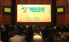 广西融安金桔推介会：重新定义你记忆中的金桔味道
