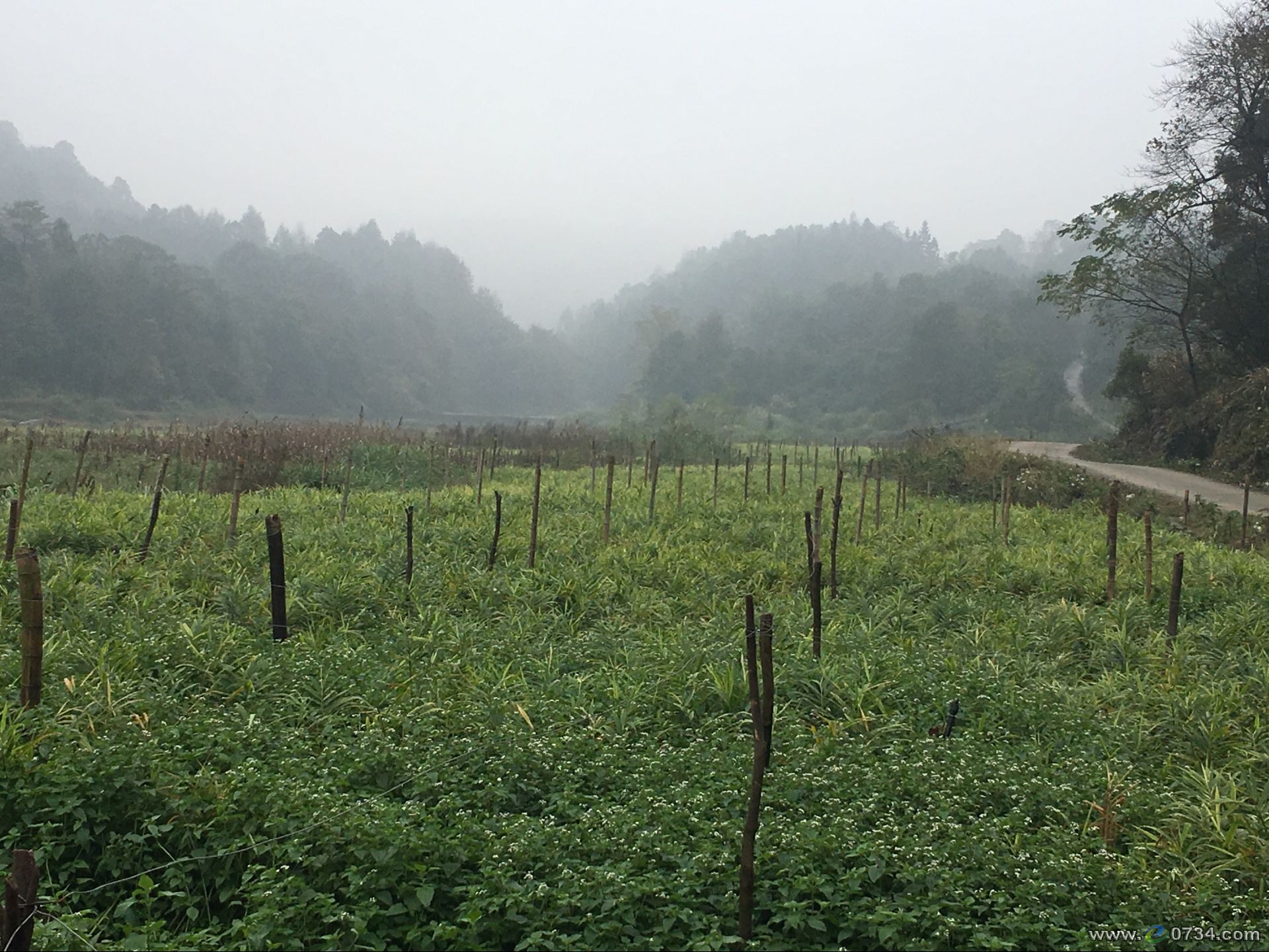 中国衡阳新闻网 www.e0734.com