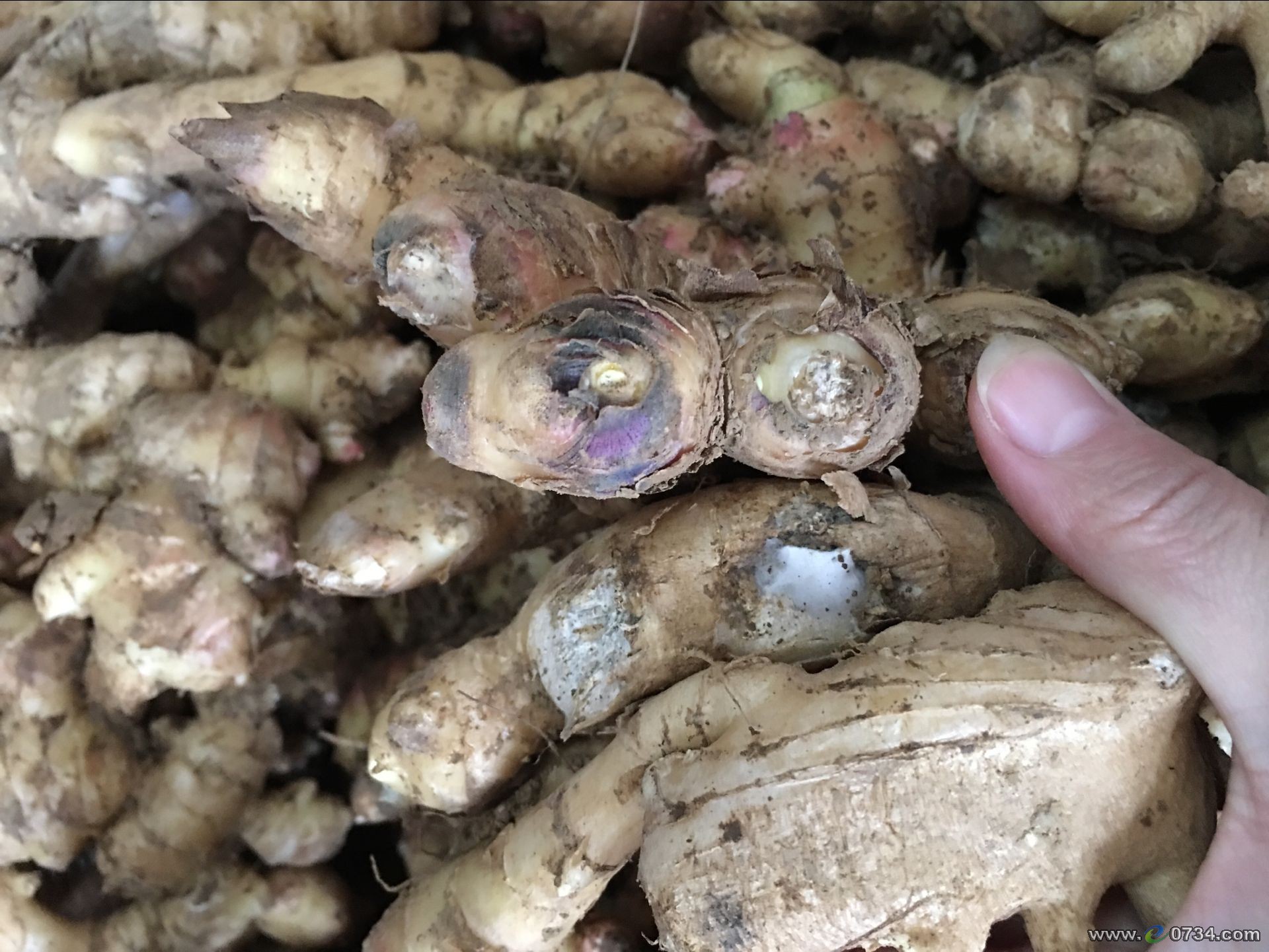 中国衡阳新闻网 www.e0734.com