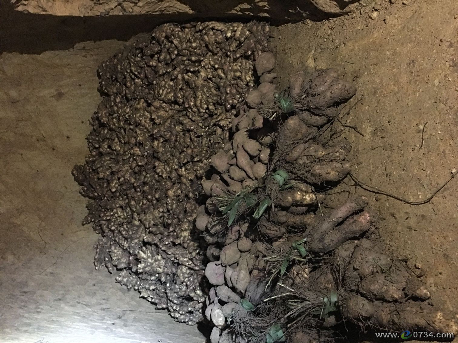 中国衡阳新闻网 www.e0734.com