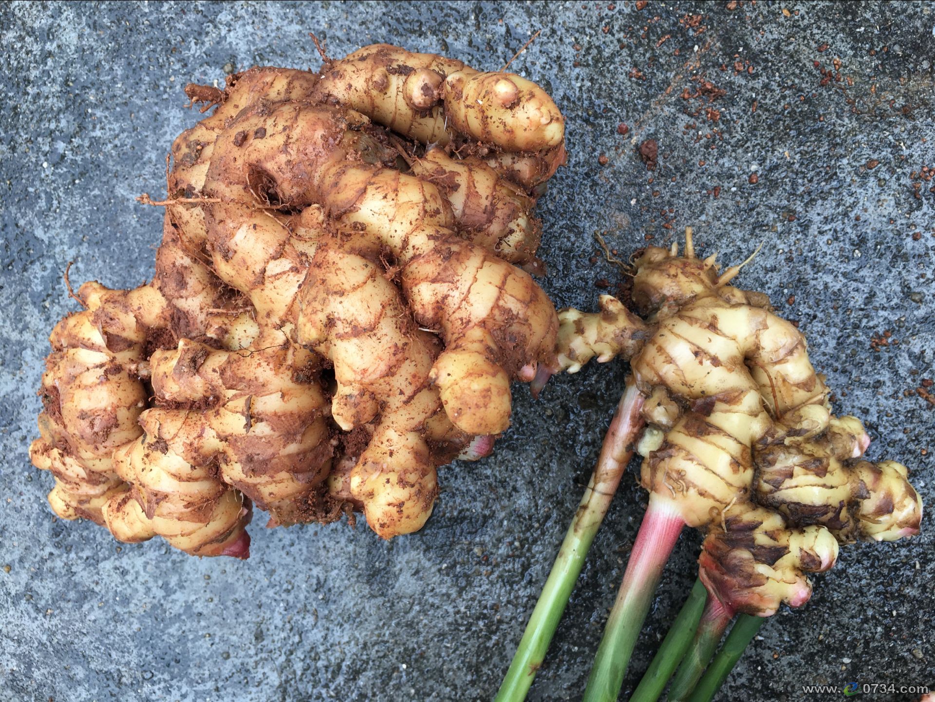 中国衡阳新闻网 www.e0734.com