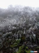 四川泸州叙永海拔最高点迎今年首场降雪