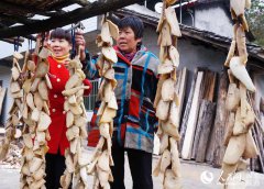 <b>湖北十堰：凉晒红薯干成一道独特的乡村风景</b>