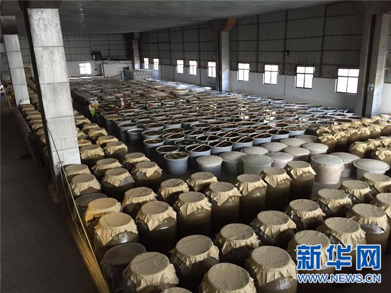 云南普洱:“绿色化”引领高原特色农业发展