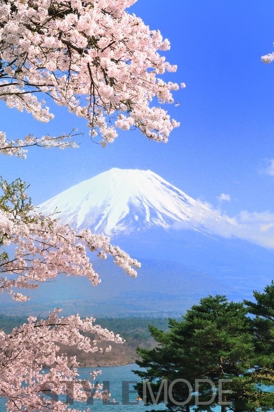 这个冬天释放身心！来箱根泡温泉看富士山