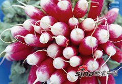 养生秘诀：明天大雪节气该吃什么？