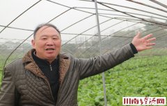 四川泸州叶群华 蔬菜界的“常胜将军”