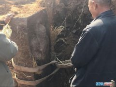 四川泸州村民宅基地还耕 挖出一处宋代双室夫妻墓