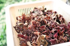 味鲜美味 秀色可餐“木棉花”