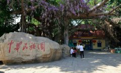 最严景区整治：中华民族园4A景区之路终结