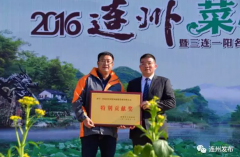 <b>666666元！广东连州“菜心至尊”拍卖再创世界新高！</b>