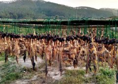 广东江门腊鸭飘香 500年工艺香味悠长