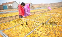 <b>山东日照：农家女王彦卖薯干带动全村致富　新疆吃货都来买</b>