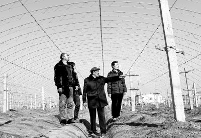 【脱贫攻坚日记】土地流转出甜蜜事业