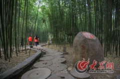 山东沂南：观竹听泉流 触景进乡愁