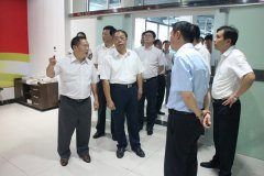 泸州市委书记蒋辅义视察中国乡镇网