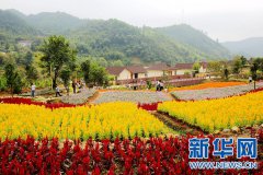 唐向阳“拓荒”10年 旅游扶贫“试验田”喜获丰收