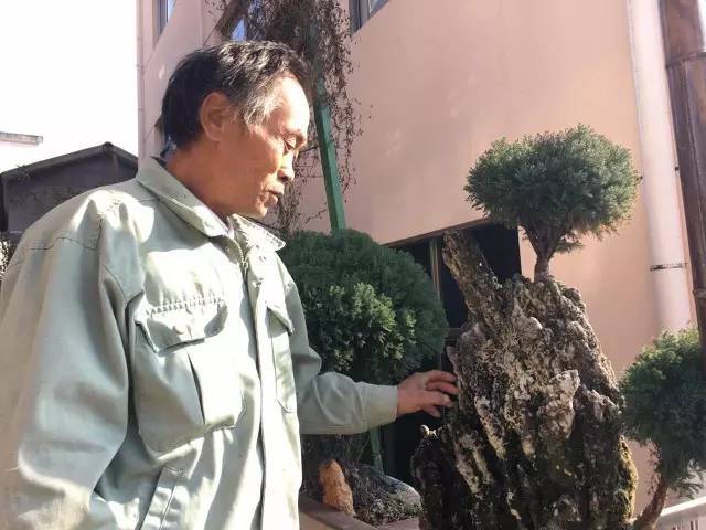 淳安农民花20年布置院子 带动整个村成了杭州网红