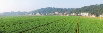 绿色发展看常宁