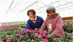 四川蓬安县：党建引领 凝聚发展向心力