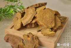 甘肃陇南市宕昌特产：宕昌大黄