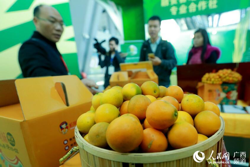广西融安金桔在柳州农博会上受热捧