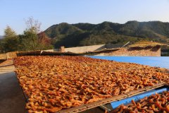 江西省赣州：和阿良一起 帮贫困户卖滞销红薯干