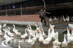 四川南溪农民卢华平：努力让乡亲们过得越来越好