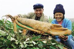 广西南宁扶贫开发领导小组产业开发专责小组工作获成效