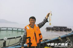 浙江黄鱼达人黄小祝荣获2016年度浙江“金牛奖”