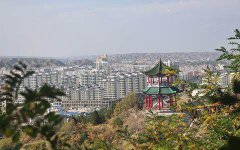 甘肃兰州市最小的一个县，却有个世界第一古梨园